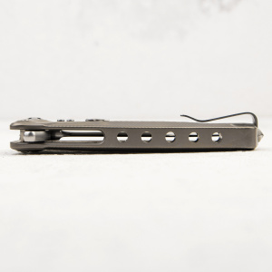 Нож lion STEEL SR-11, Titanium, Бронза - складной туристические ножи из стали Нож lion STEEL SR-11, Titanium, Бронза - складной туристические ножи из стали